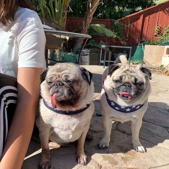 Meet your Posher’s, CHAI & ABIGAIL! - Picture 7 of 12